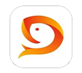 seo大魚(yú)號